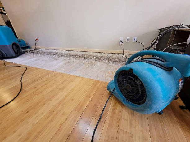 Professional Sewage Cleanup technician working in Ashland, KY
